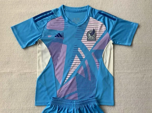 AAA Quality Mexico 2024 GK Blue Soccer Jersey
